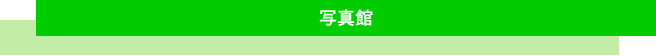 �ʐ^��